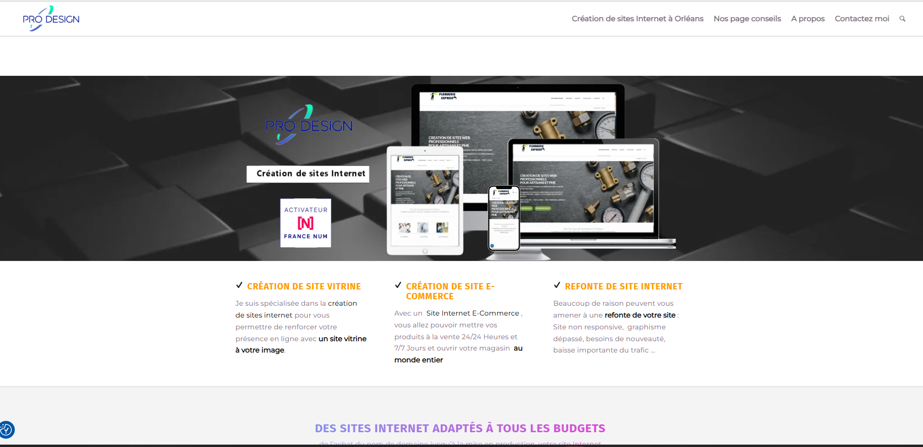 SITE WEB PRO DESIGN ORLEANS